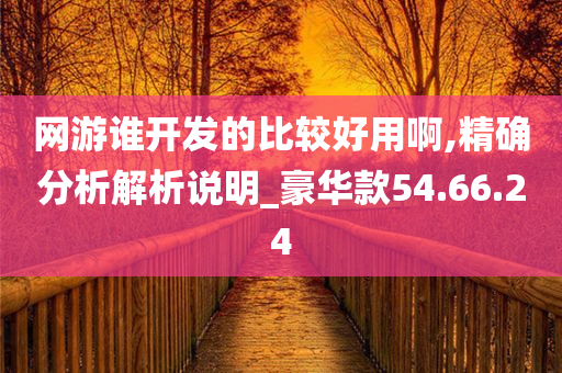 网游谁开发的比较好用啊,精确分析解析说明_豪华款54.66.24