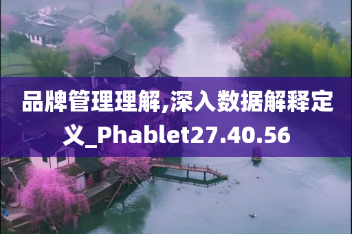 品牌管理理解,深入数据解释定义_Phablet27.40.56