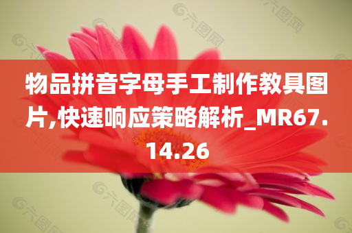 物品拼音字母手工制作教具图片,快速响应策略解析_MR67.14.26