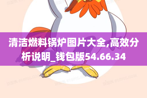 清洁燃料锅炉图片大全,高效分析说明_钱包版54.66.34