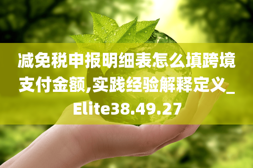 减免税申报明细表怎么填跨境支付金额,实践经验解释定义_Elite38.49.27