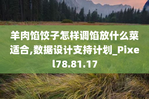 羊肉馅饺子怎样调馅放什么菜适合,数据设计支持计划_Pixel78.81.17