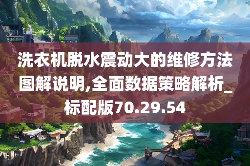 洗衣机脱水震动大的维修方法图解说明,全面数据策略解析_标配版70.29.54