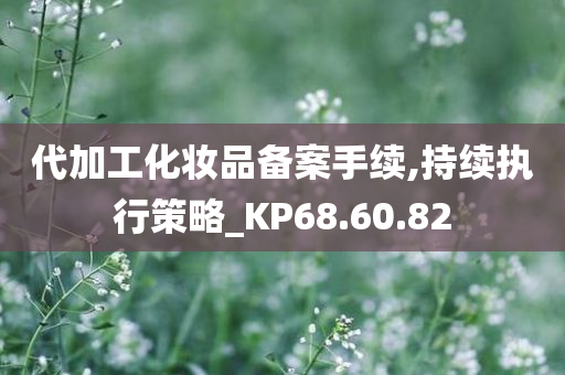 代加工化妆品备案手续,持续执行策略_KP68.60.82