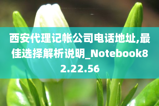 西安代理记帐公司电话地址,最佳选择解析说明_Notebook82.22.56