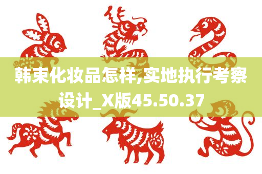 韩束化妆品怎样,实地执行考察设计_X版45.50.37