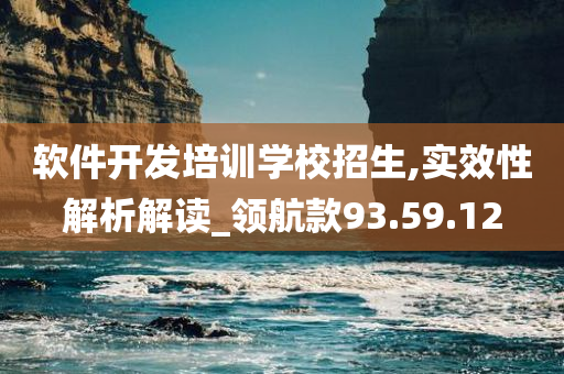 软件开发培训学校招生,实效性解析解读_领航款93.59.12