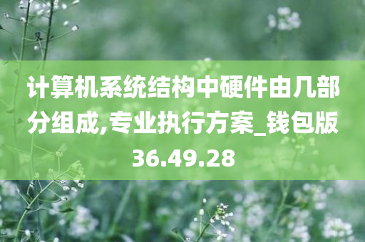 计算机系统结构中硬件由几部分组成,专业执行方案_钱包版36.49.28