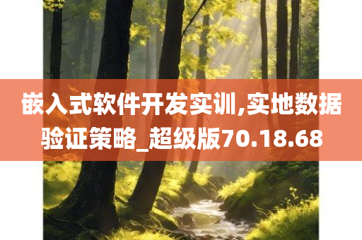 嵌入式软件开发实训,实地数据验证策略_超级版70.18.68