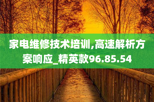 家电维修技术培训,高速解析方案响应_精英款96.85.54