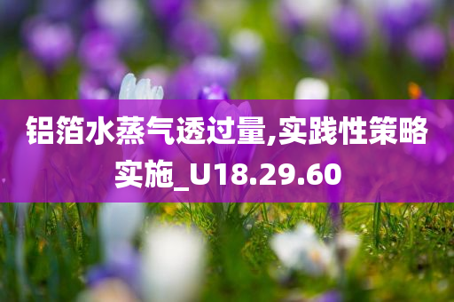 铝箔水蒸气透过量,实践性策略实施_U18.29.60