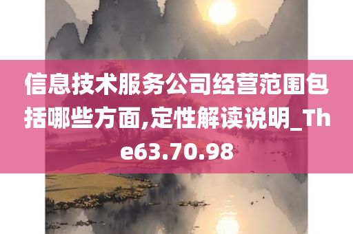 信息技术服务公司经营范围包括哪些方面,定性解读说明_The63.70.98