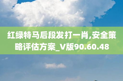 红绿特马后段发打一肖,安全策略评估方案_V版90.60.48