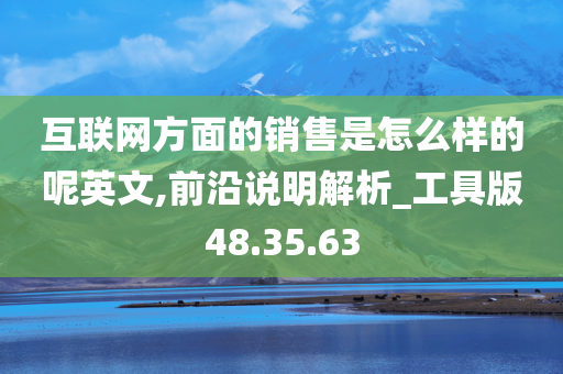 互联网方面的销售是怎么样的呢英文,前沿说明解析_工具版48.35.63