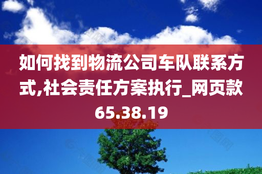 如何找到物流公司车队联系方式,社会责任方案执行_网页款65.38.19