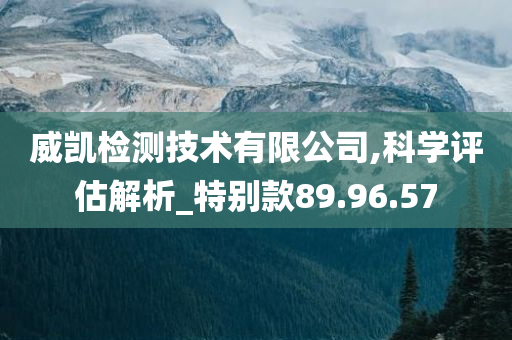 威凯检测技术有限公司,科学评估解析_特别款89.96.57