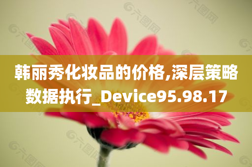 韩丽秀化妆品的价格,深层策略数据执行_Device95.98.17