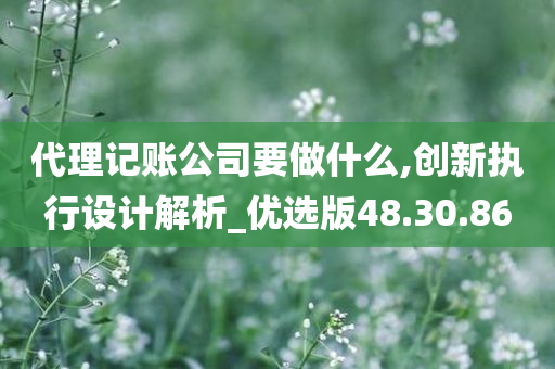 代理记账公司要做什么,创新执行设计解析_优选版48.30.86