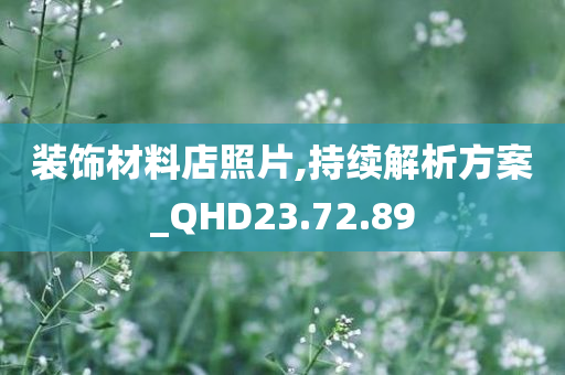 装饰材料店照片,持续解析方案_QHD23.72.89