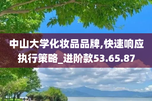 中山大学化妆品品牌,快速响应执行策略_进阶款53.65.87