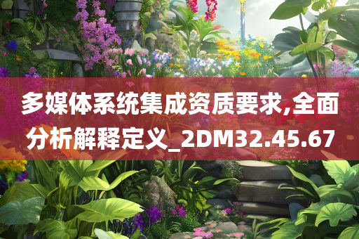 多媒体系统集成资质要求,全面分析解释定义_2DM32.45.67