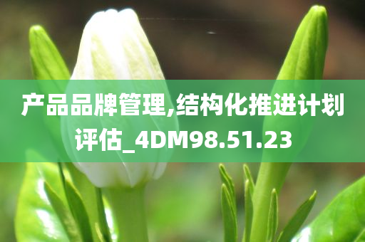 产品品牌管理,结构化推进计划评估_4DM98.51.23