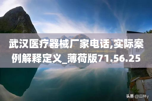 武汉医疗器械厂家电话,实际案例解释定义_薄荷版71.56.25