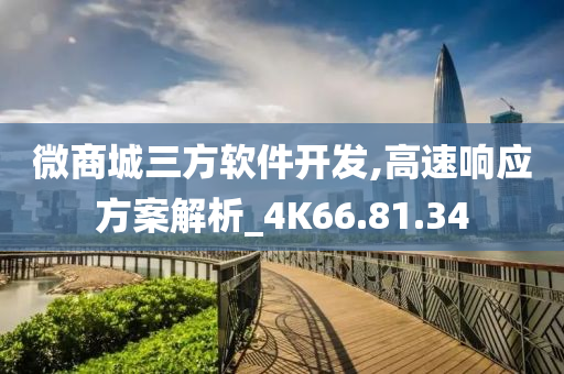 微商城三方软件开发,高速响应方案解析_4K66.81.34