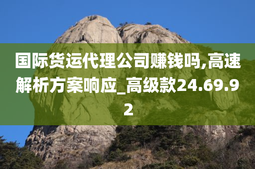 国际货运代理公司赚钱吗,高速解析方案响应_高级款24.69.92