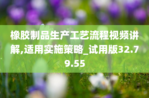 橡胶制品生产工艺流程视频讲解,适用实施策略_试用版32.79.55