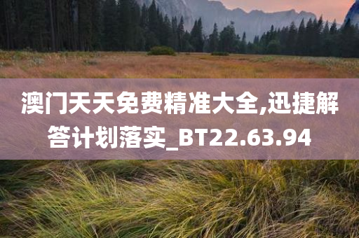 澳门天天免费精准大全,迅捷解答计划落实_BT22.63.94