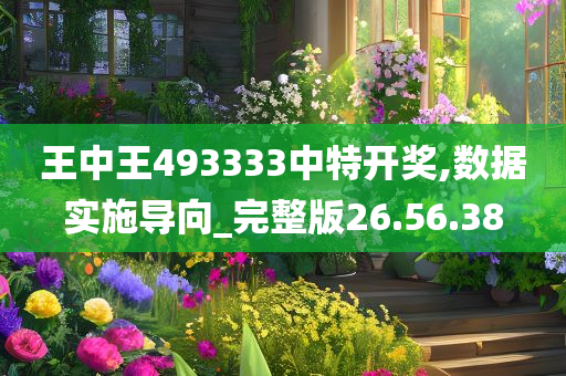 王中王493333中特开奖,数据实施导向_完整版26.56.38