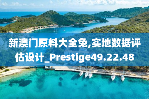 新澳门原料大全兔,实地数据评估设计_Prestige49.22.48