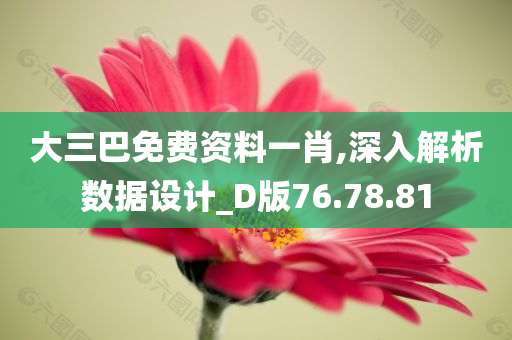 大三巴免费资料一肖,深入解析数据设计_D版76.78.81