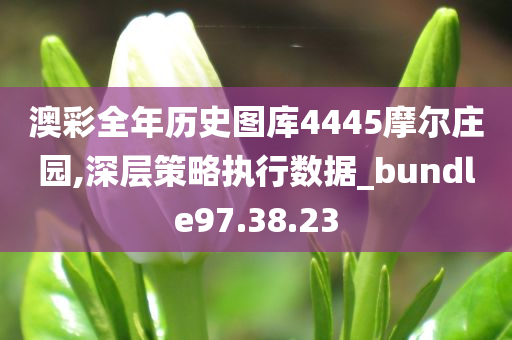 澳彩全年历史图库4445摩尔庄园,深层策略执行数据_bundle97.38.23