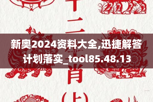 新奥2024资料大全,迅捷解答计划落实_tool85.48.13