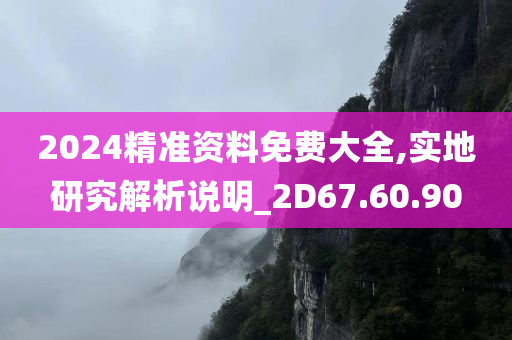 2024精准资料免费大全,实地研究解析说明_2D67.60.90