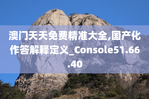 澳门天天免费精准大全,国产化作答解释定义_Console51.66.40