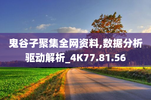 鬼谷子聚集全网资料,数据分析驱动解析_4K77.81.56