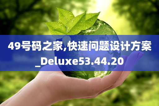 49号码之家,快速问题设计方案_Deluxe53.44.20