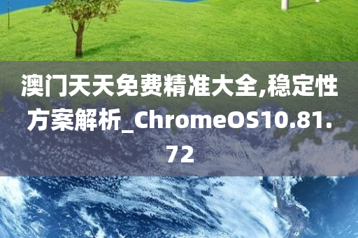 澳门天天免费精准大全,稳定性方案解析_ChromeOS10.81.72