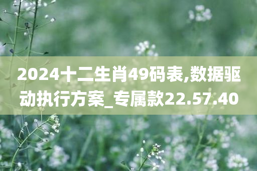 2024十二生肖49码表,数据驱动执行方案_专属款22.57.40