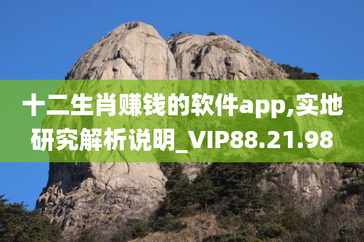 十二生肖赚钱的软件app,实地研究解析说明_VIP88.21.98