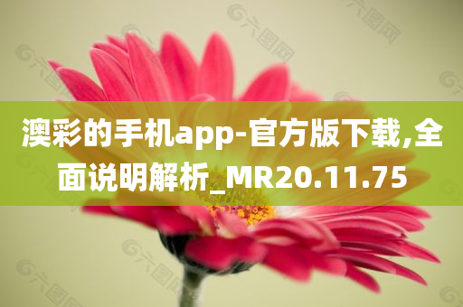 澳彩的手机app-官方版下载,全面说明解析_MR20.11.75