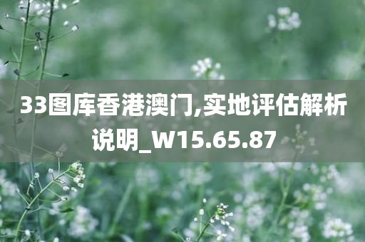 33图库香港澳门,实地评估解析说明_W15.65.87