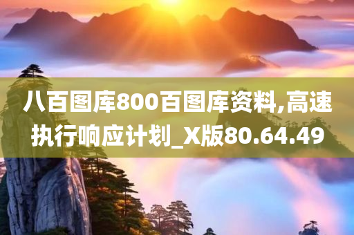 八百图库800百图库资料,高速执行响应计划_X版80.64.49