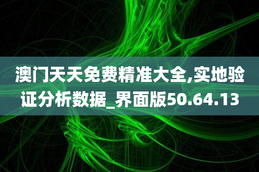 澳门天天免费精准大全,实地验证分析数据_界面版50.64.13