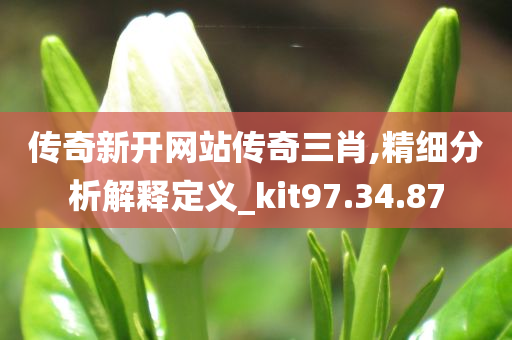 传奇新开网站传奇三肖,精细分析解释定义_kit97.34.87