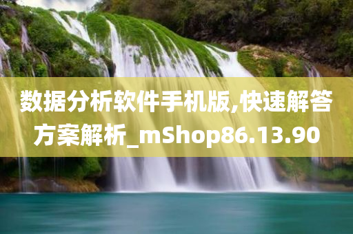 数据分析软件手机版,快速解答方案解析_mShop86.13.90