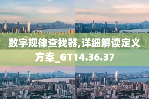 数字规律查找器,详细解读定义方案_GT14.36.37